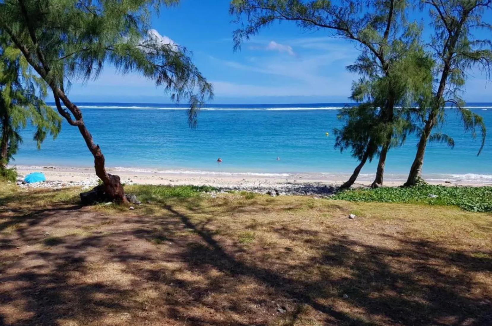 Le Tamarin Bleu - Studio A 300 M De La Plage La Saline Le Bains Exteriör bild